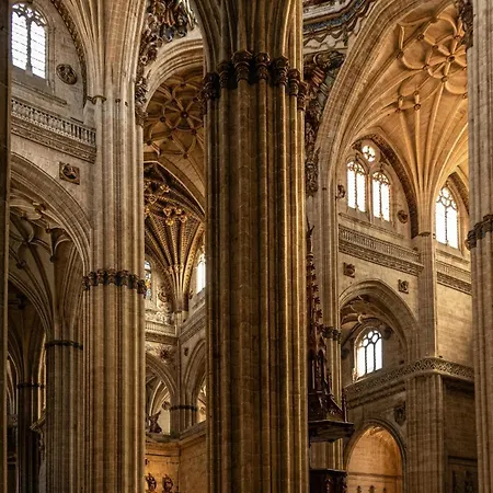 Apartment Centro, Hospital Y Campus Universitario A 5 Minutos - Camas De Primera - Lavadora - Smarttv - Wifi 1 Gb - Teletrabajo Salamanca