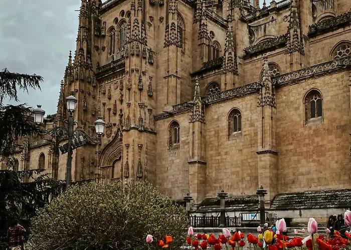 Centro, Hospital Y Campus Universitario A 5 Minutos - Camas De Primera - Lavadora - Smarttv - Wifi 1 Gb - Teletrabajo 萨拉曼卡